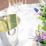 Denbies Vineyard