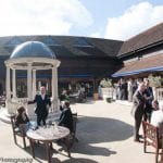 Denbies Vineyard