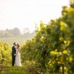 Denbies Vineyard