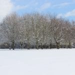 winter -min