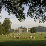 78830_house sheep