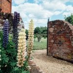 seckford-gorgeous-grounds-space