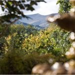 Wedding venue south wales