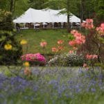 Marquee weddings