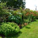 Garden 1 (1)