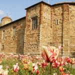 Castle_tulips-1