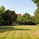 Garden 4