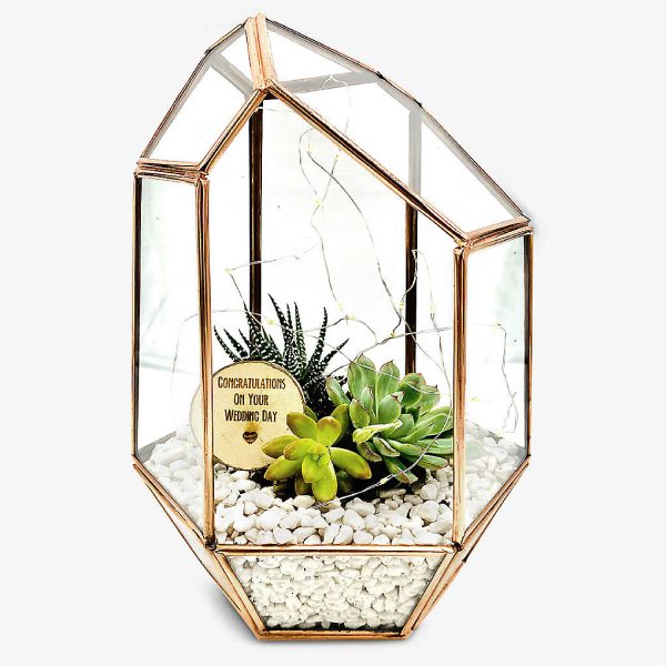 Terranium