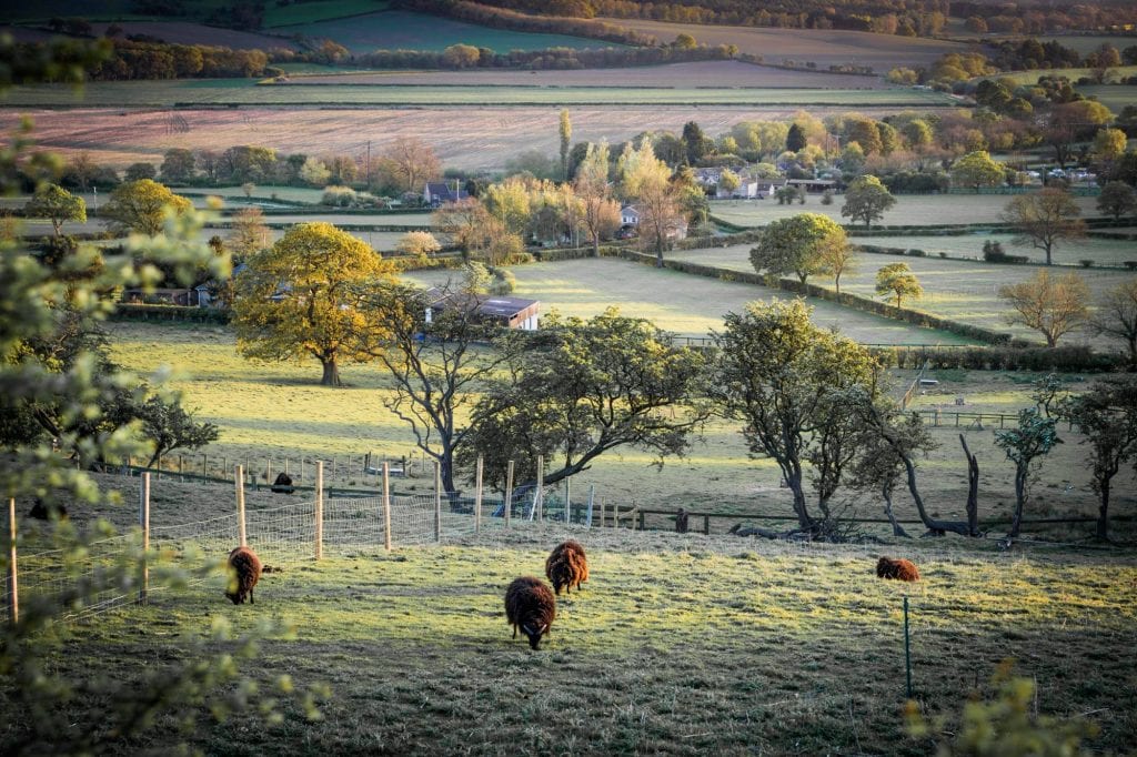 Yorkshire
