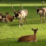 Whitworth_Hall_14