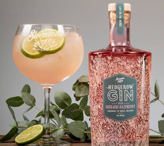 Sloemotion Hedgerow Gin - Rhubarb & Raspberry
