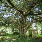 Beckford's Tower Wedding venue Bath