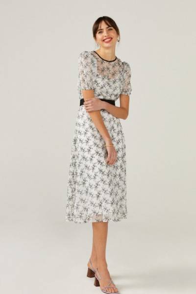 Mother of the Groom Dresses