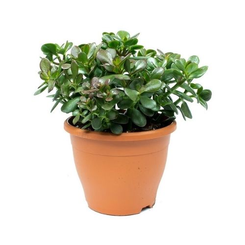 Blog image square (31)