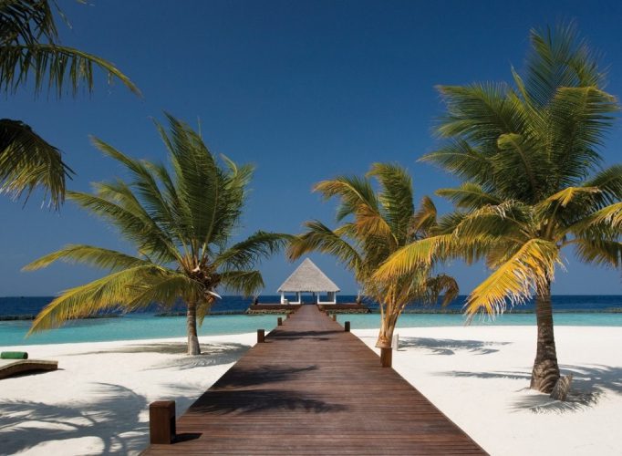 Maldives Honeymoon
