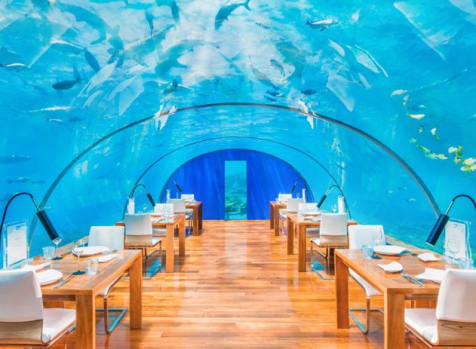 Maldives Honeymoon