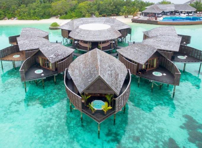 Maldives Honeymoon
