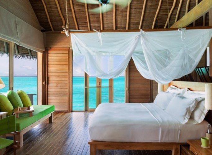 Maldives Honeymoon