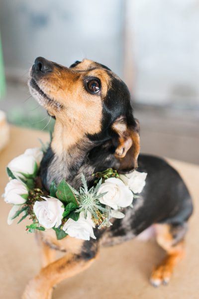 DIY Wedding Decorations