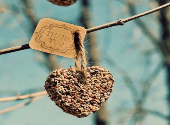 Birdseed Hearts