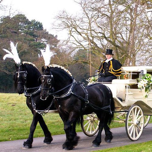 Horse-drawn-carriage-image-Pinterest