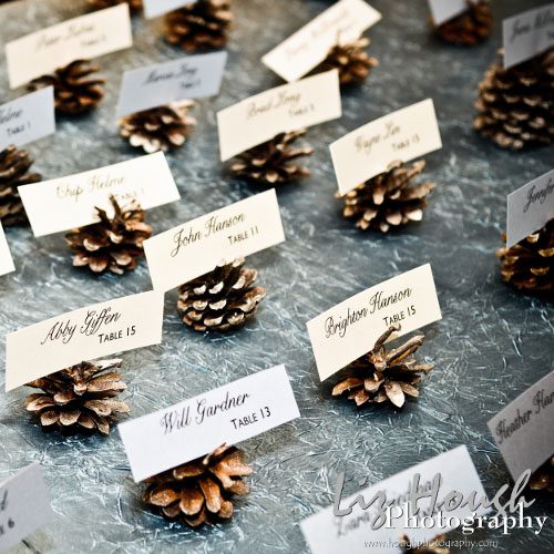 Pine-cones-image-Pinterest