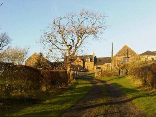 harelaw