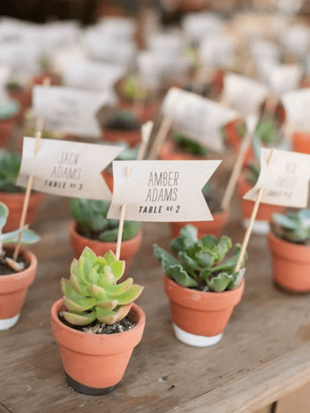 39 wedding succulents