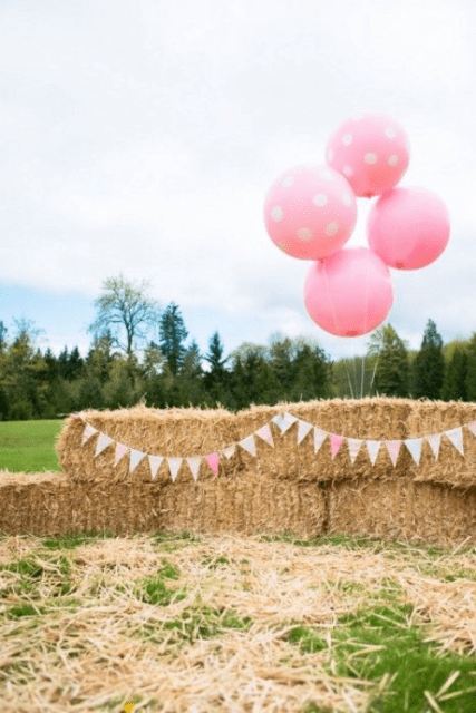 18 DIY barn wedding