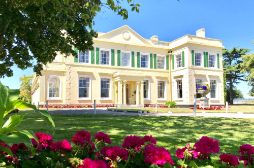11. The Lawn