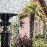 mediterranea-20180409113442714.jpg
