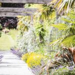 mediterranea-20180409113450230.jpg