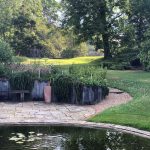 Pond 2.jpg