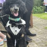 dog.jpg