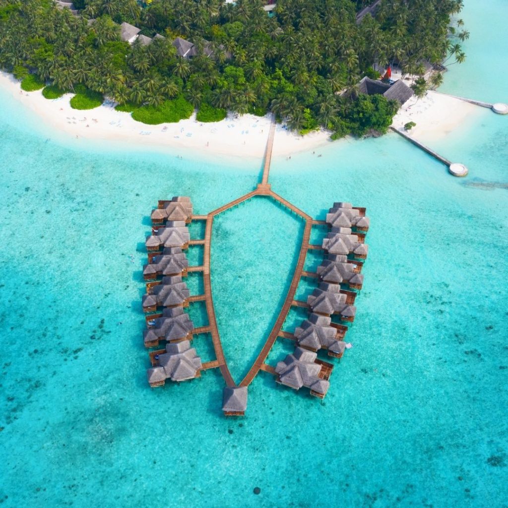 HONEYMOON