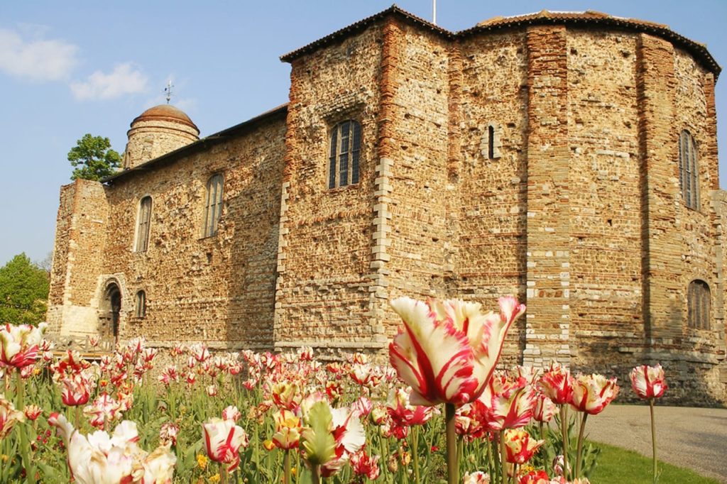 Castle_tulips-1