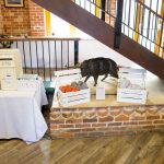 Eversholt_Hall_Nick_Labrum