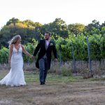 Vineyard