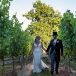 Vineyard