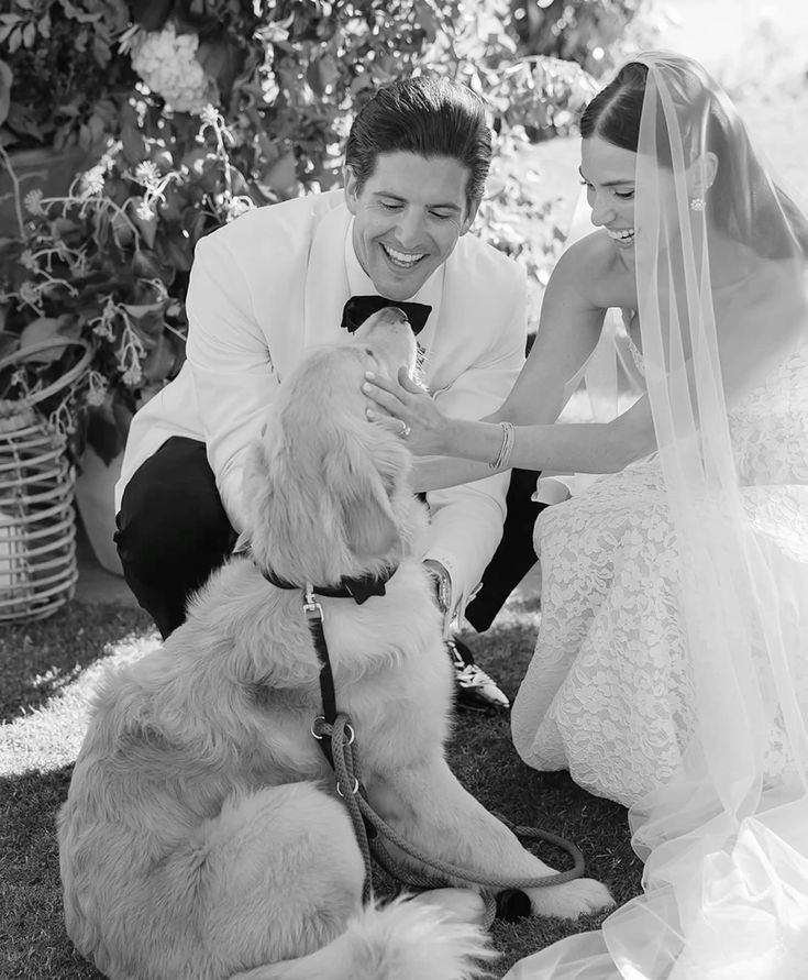 Your Pet In Your Wedding Day