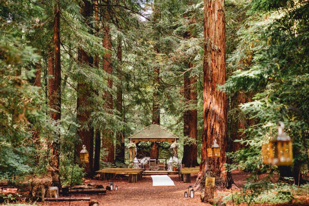 of the Best Wedding Venues in West Sussex Down woods CBH scaled 3